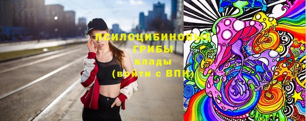 крисы Абаза