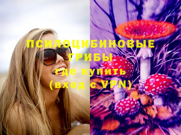 крисы Абаза