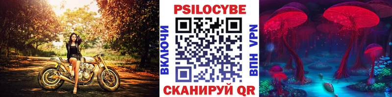 Галлюциногенные грибы Cubensis  маркетплейс состав  Нерчинск 