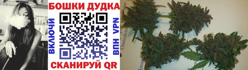 Бошки Шишки индика  закладки  Нерчинск 